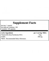 Now Gaba 500mg 100 cápsulas