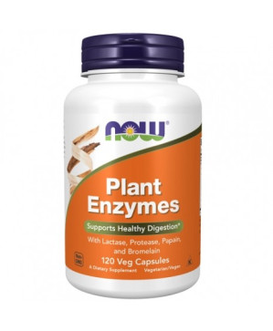 Now Plant Enzymes 120vcaps
