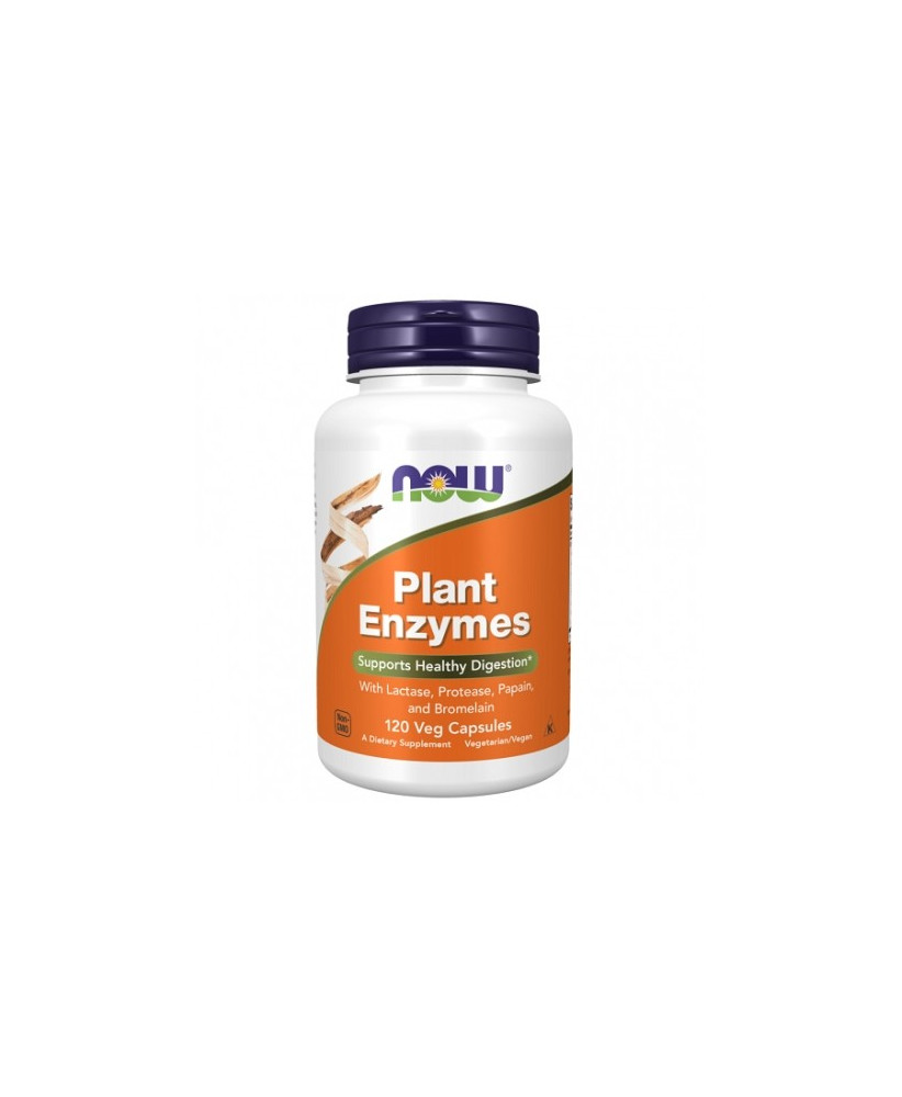 Now Plant Enzymes 120vcaps