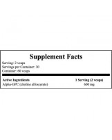 Now Alpha GPC 60 Cápsulas Vegetais