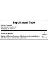 Now Rhodiola 500mg 60 Cápsulas Vegetais